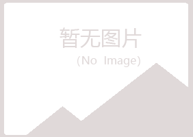 偃师如松建设有限公司